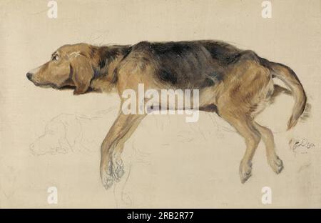 Étude d'un chien couché par Edwin Henry Landseer Banque D'Images