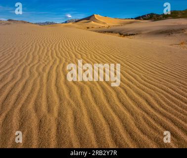 Dunes d'Ibex, Death Valley National Park, Californie Banque D'Images