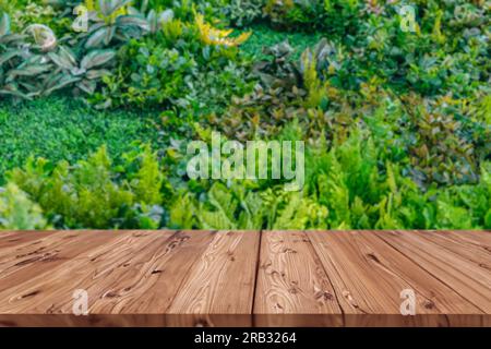 Vert de feuillage de plante mélange l'écologie fraîche de jardin avec la table de plancher en bois blacnk pour fond de montage publicitaire graphique Banque D'Images