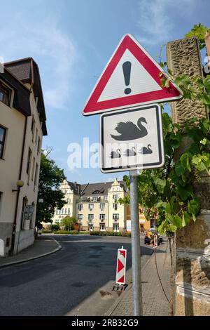 Signe de signalisation attention cygnes avec un point d'exclamation dans un triangle rouge. Panneau de sécurité routière avertissant les oiseaux marchant dans la rue. Vieille ville tchèque de Decin. Banque D'Images