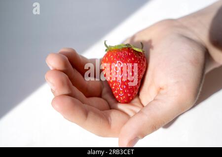 Délicieuse baie de fraise juteuse mûre dans la paume d'un enfant. baie de fraise couchée dans la paume d'un enfant. Lumière du soleil. Concept estival d'alimentation saine. ch Banque D'Images