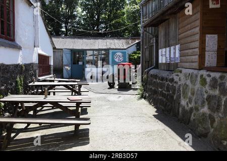 Dans Roskillys à Helston, Cornwall. Espace commercial de Roskilly Bowji Gallery and Studio. Banque D'Images