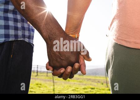 Tenant les mains d'un couple afro-américain senior dans une nature ensoleillée. Style de vie senior, détente, bien-être dans la nature et la retraite, inchangé. Banque D'Images