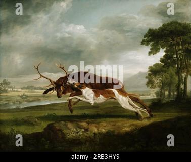 Philadelphia Museum of Art – George Stubbs, English, 1724-1806 -- Hound Coursing a Stag c. 1762. Banque D'Images