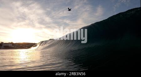 vue depuis l'eau à la plage vagues avec lever du soleil et mouettes volantes au-dessus de vous Banque D'Images