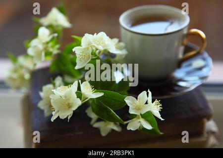 Une branche de Jasmine sur la table et de vieux livres. Banque D'Images