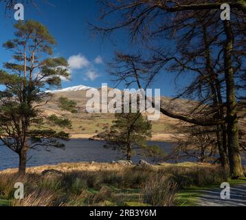 Printemps à Llyn y Gader, près de Rhyd DDU dans le parc national d'Eryri (Snowdonia), en regardant vers une Wyddfa enneigée (Mont Snowdon), pays de Galles. Banque D'Images