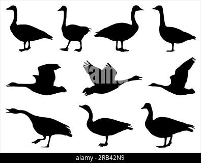 Set de Canada Goose Silhouette Illustration de Vecteur