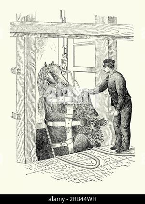 Une gravure ancienne des années 1800 d'une écharpe à cheval. Il est tiré d'un livre de génie mécanique victorien des années 1880 Une écharpe pour chevaux est un harnais conçu pour soulever et suspendre un cheval du sol. Ici, le cheval est tiré d'en bas et une écharpe a été utilisée dans les mines à cette fin. Les élingues pour chevaux pourraient être utilisées à l'intérieur des navires lors du transport des animaux. Les élingues pour chevaux sont souvent utilisées à des fins médicales pour aider les chevaux souffrant de blessures aux jambes. Banque D'Images