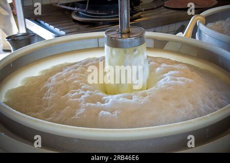 La Suisse, dans le canton de Berne, Zürich, la production laitière de l'Emmental Banque D'Images