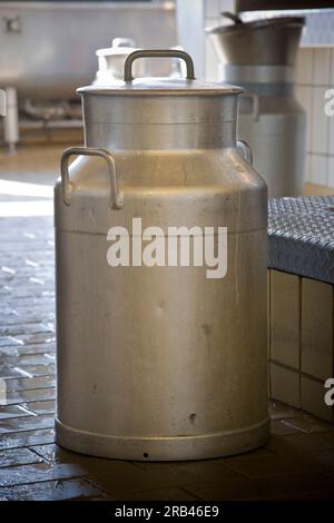 La Suisse, dans le canton de Berne, Zürich, la production laitière de l'Emmental, seau de lait Banque D'Images