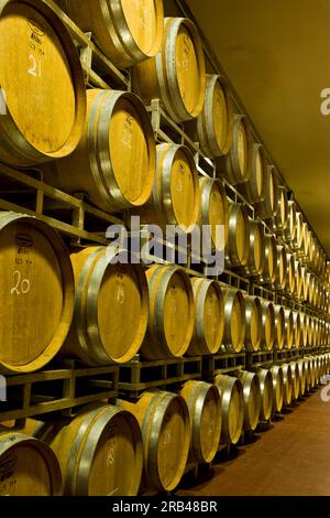 L'Italie, la Lombardie, la Valtellina, Chiuro, Casa Vinicola Nino Negri, Nino Negri vinery, callar Banque D'Images