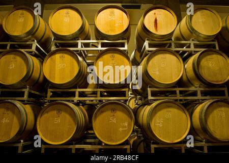 L'Italie, la Lombardie, la Valtellina, Chiuro, Casa Vinicola Nino Negri, Nino Negri vinery, callar Banque D'Images