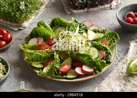 Salade de légumes avec des germes de radis locaux, avec des microgreens de brocoli et de chou en arrière-plan Banque D'Images