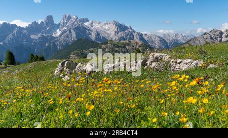 Beau paysage de montagne sur la place Plätzwiese / Prato dans les Dolomites (Alpes italiennes), avec le Monte Cristallo en arrière-plan Banque D'Images