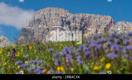 Beau paysage de montagne sur la place Plätzwiese / Prato dans les Dolomites (Alpes italiennes), avec la montagne Hohe Gaisl en arrière-plan Banque D'Images