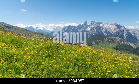 Beau paysage de montagne sur la place Plätzwiese / Prato dans les Dolomites (Alpes italiennes), avec le Monte Cristallo en arrière-plan Banque D'Images