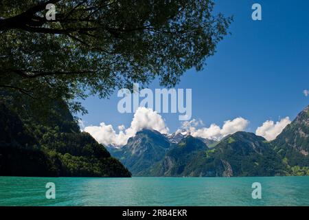 La Suisse, Canton Schwitz, Brunnen, Rorschach, Lucerne lac, paysage Banque D'Images