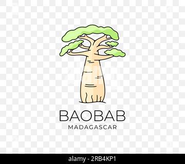 Madagascar baobab africain, parc national et savane, nature, arbres et plantes, graphisme coloré. Forêt, savane, flore, paysage Illustration de Vecteur