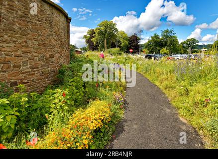 Inverness Botanic Gardens Scotland affiche des fleurs sauvages dans les lits le long du sentier menant aux jardins en été Banque D'Images