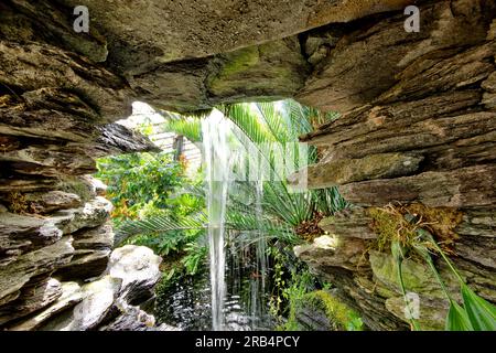 Inverness Botanic Gardens Scotland vue de l'intérieur une petite cascade dans la serre tropicale en été Banque D'Images