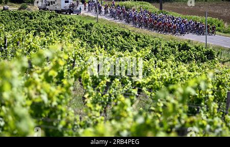 Bordeaux, France. 07 juillet 2023. Le peloton de coureurs photographié en action lors de l'étape 7 du Tour de France, une course cycliste de 169 9 km de Mont-de-Marsan à Bordeaux, France, vendredi 07 juillet 2023. Le Tour de France de cette année aura lieu du 01 au 23 juillet 2023. BELGA PHOTO JASPER JACOBS crédit : Belga News Agency/Alamy Live News Banque D'Images