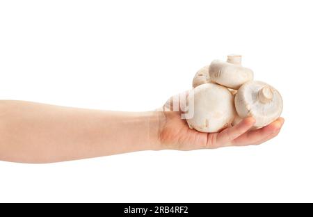 champignon dans le chemin de la main isolé sur blanc Banque D'Images