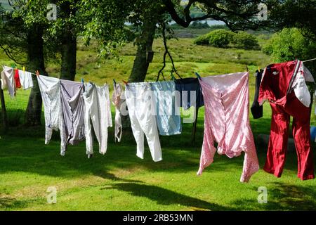 Séchage du linge à l'extérieur sur une ligne de lavage de jardin - John Gollop Banque D'Images