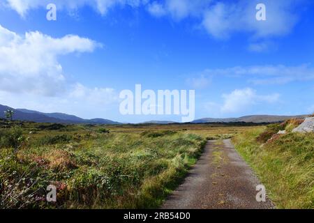 Piste irlandaise rugueuse et paysage près d'Ardgroom, comté de Cork, Irlande - John Gollop Banque D'Images