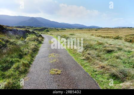 Piste irlandaise rugueuse et paysage près d'Ardgroom, comté de Cork, Irlande - John Gollop Banque D'Images