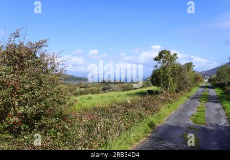 Piste irlandaise rugueuse et paysage près d'Ardgroom, comté de Cork, Irlande - John Gollop Banque D'Images