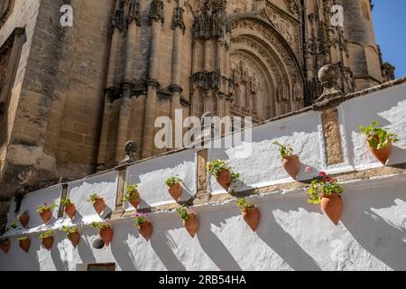 Vue partielle d'une rue typique à Arcos de la Frontera, Cadix, Espagne, avec des plantes en pot sur un mur blanchi à la chaux et, en arrière-plan, la façade de Banque D'Images