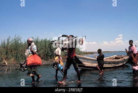 Vie quotidienne sur le lac Malawi. Liwonde. Malawi Banque D'Images