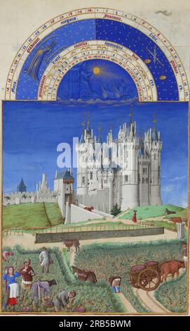 Calendrier : septembre (cueillette de raisin) 1416 par les frères Limbourg Banque D'Images