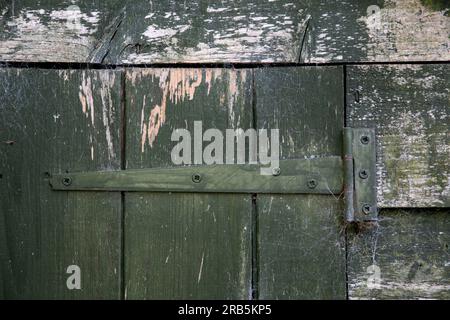 Charnière de porte en acier sur un ancien abri de jardin en bois avec toiles d'araignée Banque D'Images