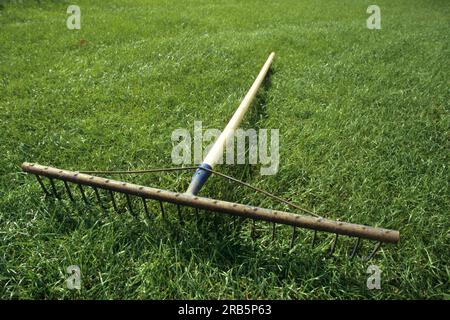 Outil de jardinage. Râteau Banque D'Images