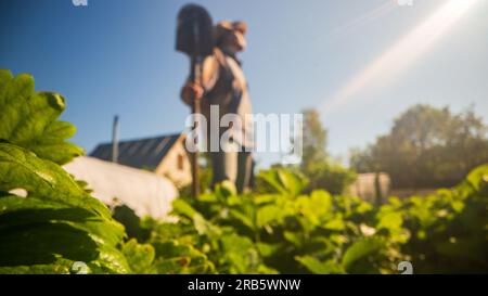 Le fermier se tient avec une pelle dans le jardin de la ferme. Concept de jardinage. Travaux agricoles sur la plantation Banque D'Images