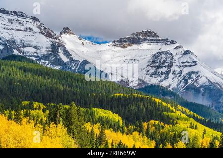 Couleur d'automne dans les arbres de tremble près de Telluride, Colorado. Banque D'Images