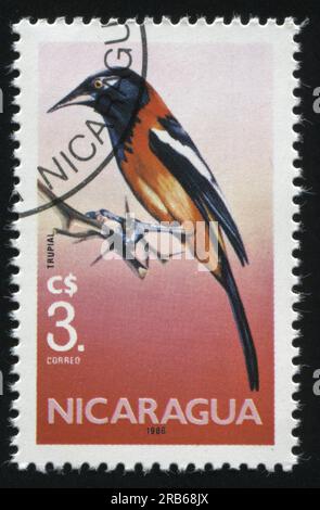 RUSSIE KALININGRAD, 26 MARS 2019 : timbre imprimé par le Nicaragua montrant un oiseau sur une branche, vers 1986 Banque D'Images