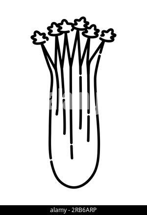 Icône de ligne vectorielle noir et blanc céleri Illustration de Vecteur
