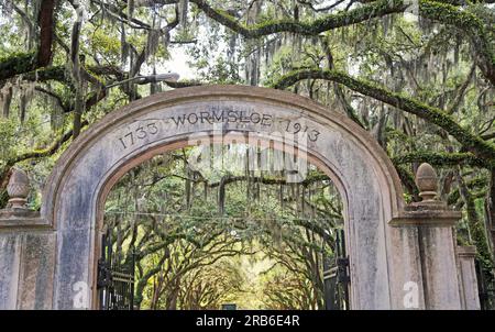 Porte d'entrée - Wormsloe Plantation, Savannah, Géorgie Banque D'Images