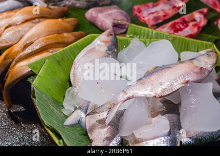 Hilsa poisson ou ilish vendu au marché aux poissons sur une feuille de bananier. Ce poisson d'espèce de hareng est un poisson comestible très populaire de l'Inde et du Bangladesh Durin Banque D'Images