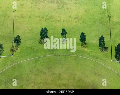Descendez les arbres aériens et leurs ombres sur un terrain de sport verdoyant à Carlton à Melbourne, Victoria, Australie Banque D'Images