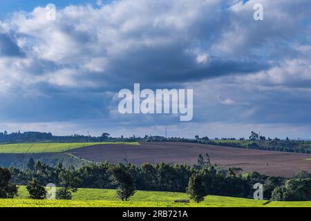 Adigo Digo obinja tv Kenyan Fashion Photographers Antony Trivet Banque D'Images