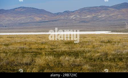 Le lac Soda blanc sec est entre le champ d'herbe sèche et les montagnes. Banque D'Images