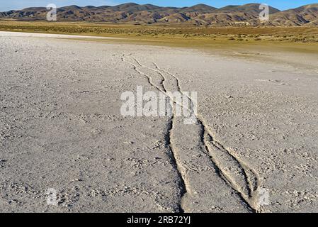 Les lignes traversent la surface sèche du lac soda avec des montagnes au loin. Banque D'Images