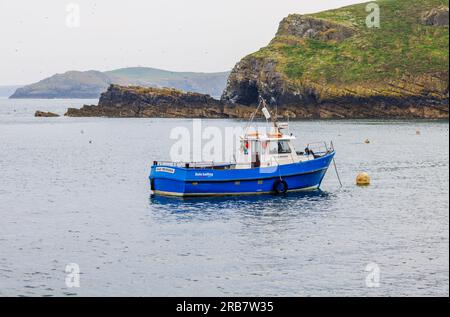 Ferry 'Dale Princess' ancré au large de North Haven à Skomer Island sur la côte du Pembrokeshire près de Marloes dans l'ouest du pays de Galles, bien connu pour sa faune Banque D'Images