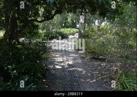 Chemin de fer à voie étroite traversant un jardin botanique de Los Angeles. Banque D'Images