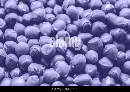 Très Peri couleur de l'année 2022. Fond violet avec une collection de noisettes. Lot de noisettes dans la coquille. Noisettes. Fond alimentaire, wallpap Banque D'Images