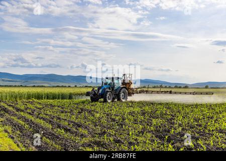 Le tracteur fertilise le maïs au printemps. Concept agricole Banque D'Images